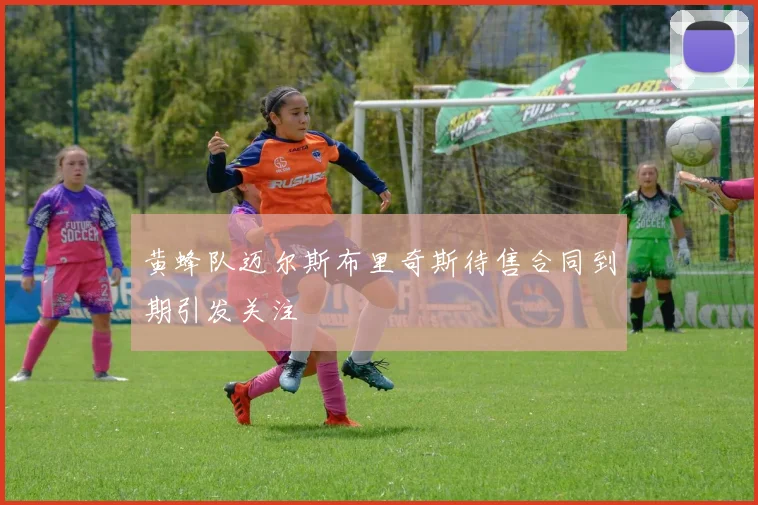 黄蜂队迈尔斯布里奇斯待售合同到期引发关注